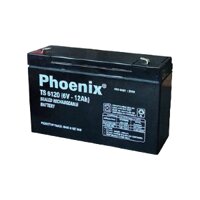 ẮC QUY PHOENIX 6V- 12AH TS6120 cho xe điện trẻ em