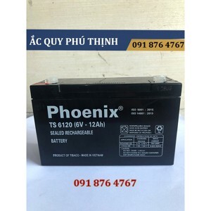 Ắc quy Phoenix TS6120 6V-12AH