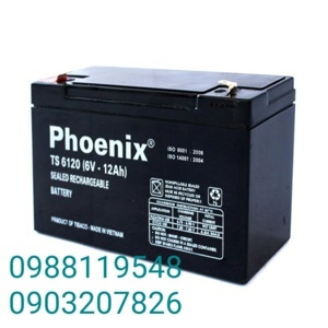 Ắc quy Phoenix TS6120 6V-12AH