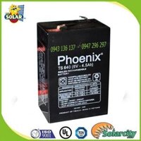 ẮC QUY PHOENIX 6V-4.5Ah (TS645) cho ô tô điện trẻ em