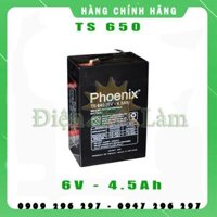 ẮC QUY PHOENIX 6V-4.5Ah (TS645) Cho Ô Tô Điện Trẻ Em