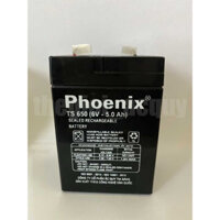 Ắc quy Phoenix 6V-5Ah TS650 dùng cho xe điện trẻ em, đèn tích điện, quạt tích điện