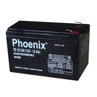 ẮC QUY PHOENIX KÍN KHÍ CN 12V-2AH (TS1220)