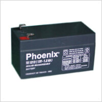 ẮC QUY PHOENIX KÍN KHÍ CN 12V-2AH (TS1220)