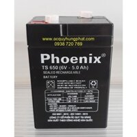 ẮC QUY PHOENIX TS 650 (6V - 5AH)