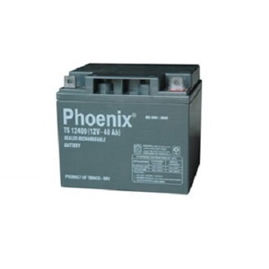 Ắc quy Phoenix TS12140
