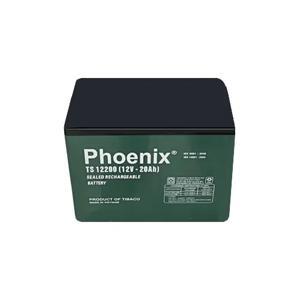 Ắc quy Phoenix TS1220