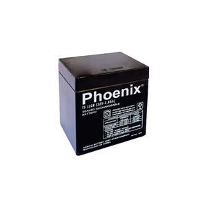 Ắc quy Phoenix TS1228