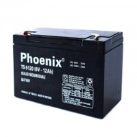 ẮC QUY PHOENIX TS6120 (6V - 12Ah )