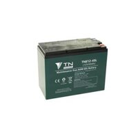 Ắc Quy Thiên Năng Tianneng TNE12-45 (12V - 45Ah),  ắc quy dùng cho Xe điện, UPS, Năng lượng mặt trời