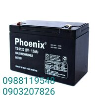 Ắc quy Tia Sáng Ts6120(6v - 12Ah)