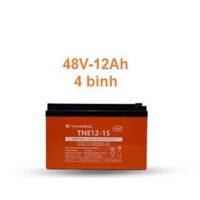 Ắc quy TIANNENG (Thiên Năng) 48V-12 Ah