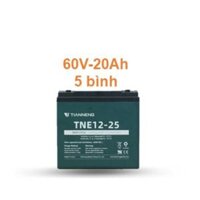 ẮC QUY TIANNENG (THIÊN NĂNG) TNE 60V-20AH