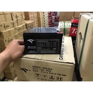 Ắc quy UPS, xe đạp điện Eagle 12V - 12Ah (EG12-12)