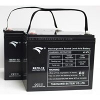 Ắc quy UPS, xe đạp điện Eagle 12V - 75Ah (EG75-12)