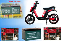 Ắc quy xe đạp điện Pega Cap A3