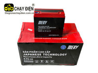 Ắc quy xe điện 12V 24AH MERY