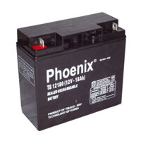 ẮC QUY XE MÁY PHOENIX 12V- 4.5AH (TSM 1250S)