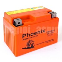 Ắc quy xe máy Phoenix 12V-4.5Ah (TSM1250S) xe máy Nouvo, Exciter, AB, Hayate