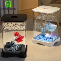 Achieve INQUIRY Betta Bể Cá Có Lỗ Ăn Thiết Thực Cho Văn Phòng Tại Nhà