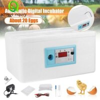 Achieve YÊU CẦU Máy ấp trứng gà kỹ thuật số Kiểm soát nhiệt độ trang trại Dụng cụ ấp trứng