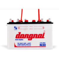 Acquy Đông Nai 12V-30 Ah chính hãng bảo hành toàn quốc