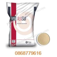 ActiSaf - nấm men sống 100%