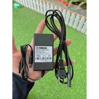 Adapter cho đàn Organ Yamaha PSR-450