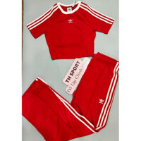 ADIDAS Bộ thể thao áo croptop quần ống đứng size S,M