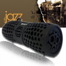 Loa Bluetooth Kingta B30