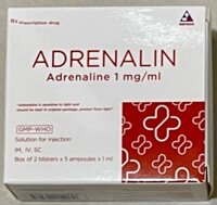ADRENALIN 1 MG/1 ml Tiêm cầm máu H/10 ống
