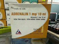 Adrenalin 1mg/10ml – Điều trị hồi sức tim phổi và cấp cứu sốc phản vệ (Hộp 2 vỉ x 5 ống x 10ml)