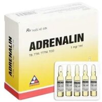 Adrenalin 1mg/1ml Tiêm Vinpha - Thuốc Cấp Cứu Hồi Sức Tim Phổi, Điều Trị Choáng Phản Vệ Hiệu Quả