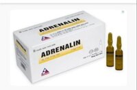 Adrenalin 1mg/1ml VINPHACO – Thuốc hồi sức cấp cứu (Hộp 5 vỉ x 10 ống x 1ml)