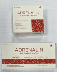 Adrenalin 1mg/Ml Vĩnh Phúc (H/10ống)
