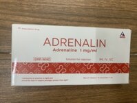 Adrenalin (hộp 10 ống)