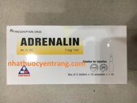 Adrenalin (hộp 50 ống)