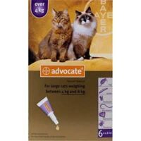 Advocate Cat – 1 tuýp thuốc trị ve giận dành cho mèo dưới 4kg