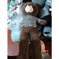 ❤️Free Ship❤️ Gấu bông teddy khổ vải 1m4 cao 1m2 - hàng đúng chất lượng