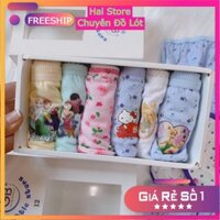 ❤️FREE SHIP❤️ Hộp 6 Quần Chip Cotton Cho Bé Gái 2-12 Tuổi