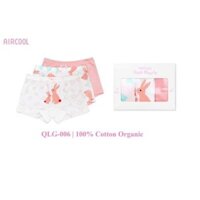 Aircool - set 3 quần chip đùi bé gái organic cotton