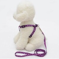 {AIXI pet store} Dây dắt chó mèo dạng yếm loại 1 lớp dây xích chó vải mỏng 2 size dắt thú cưng đi d