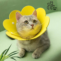 {AIXI pet store} Vòng cổ chống liếm/ loa chống liếm siêu nhẹ cho mèo - Tiệm Mèo Moa