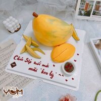 AK2415-20cm-Bánh kem trái xoài