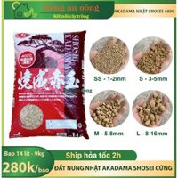 Akadama Shosei Japan đất nung cứng 400c trồng bonsai, sen đá, xương rồng bao đỏ 14 lít - 9kg