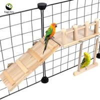 Alison Bird Perches Platform, Thang leo chim bằng gỗ ngộ nghĩnh, Thú cưng Tương tác tự nhiên Chim bền bỉ Chơi phòng tập thể dục Giá đỡ Hamster