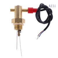 Alli Professional G1 2 Công tắc lưu lượng nước DN15 Công tắc chảy chất lỏng 10W Cảm biến lưu lượng cơ thể bằng đồng thau cho máy bơm