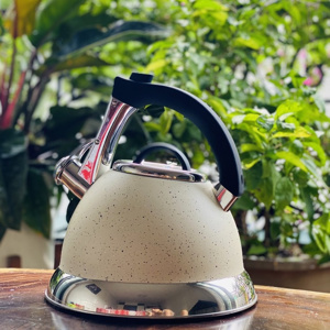 Ấm Đun Từ Faster 3L