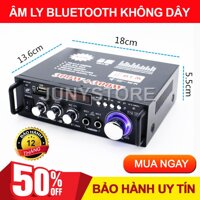 Âm Ly Mini, Âm ly Karaoke mini, Âm ly Bluetooth Tely-Blj253 Cao Cấp Đa Năng, Tổng Công Suất 2 Kênh 600W, Tự Động Lọc Nhiễu, Hỗ Trợ Khe Cắm Thẻ Nhớ, Trang Bị Điều Khiển Từ Xa, Dễ Dàng Di Chuyển cao cấp