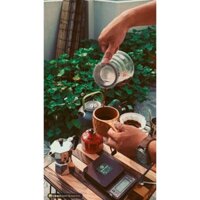 Ấm Pha Cafe Bialetti Moka Pot chính hãng